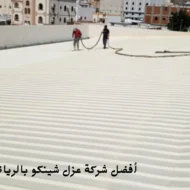 افضل أفضل شركة عزل شينكو بالرياض
